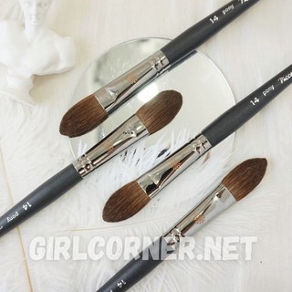Cọ setting - má hồng - highlight Piccasso 14