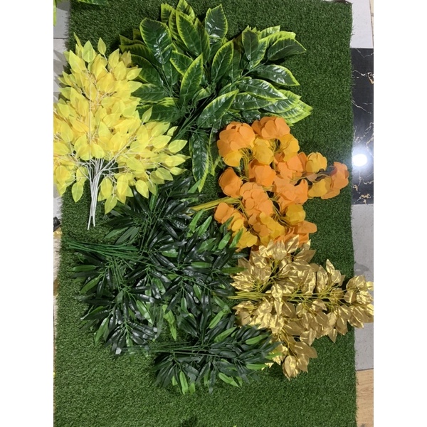 Lá cây si vàng giả