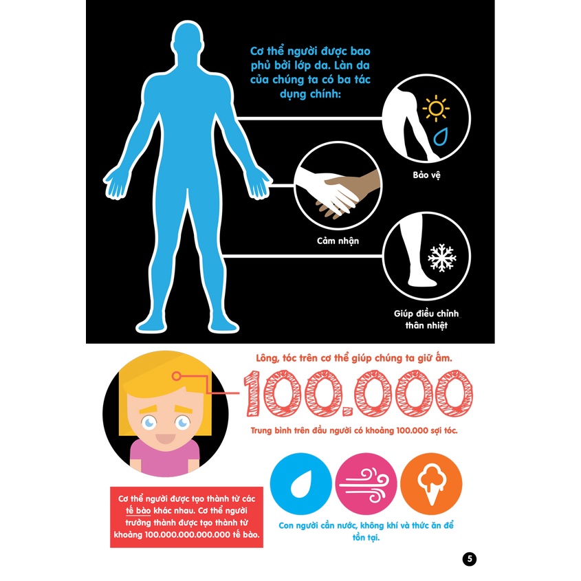 Sách - Infographics - Bách Khoa Tri Thức Bằng Đồ Họa Cho Trẻ Em - Cơ Thể Người - DTI