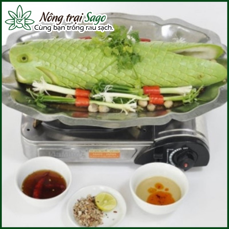 Hạt giống Bầu Xị Lai Trái Dài, To, Ngọt, Trồng Quanh Năm - Nông Trại Sago