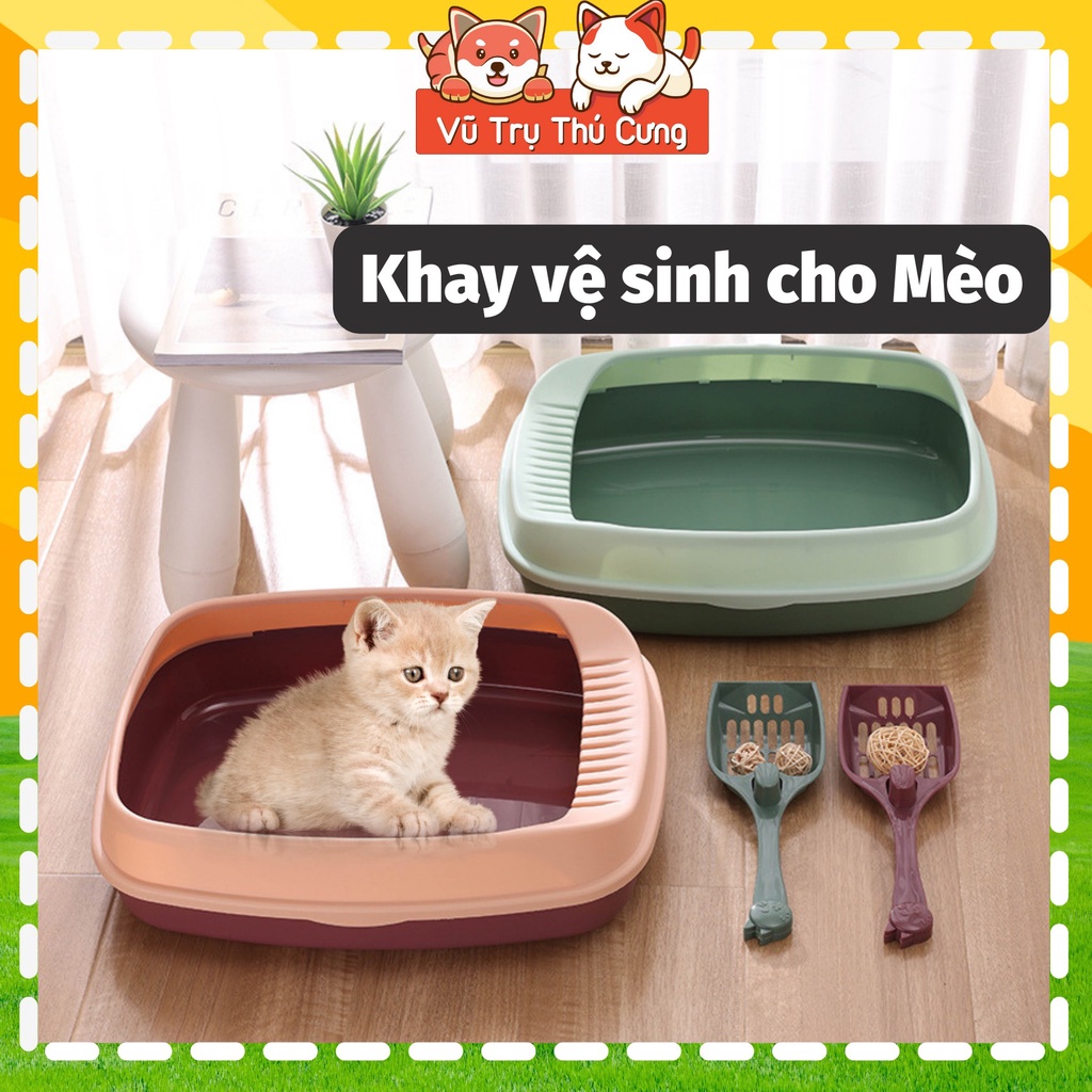 Khay Cát Vệ Sinh Cho Mèo, kèm xẻng 34x46cm