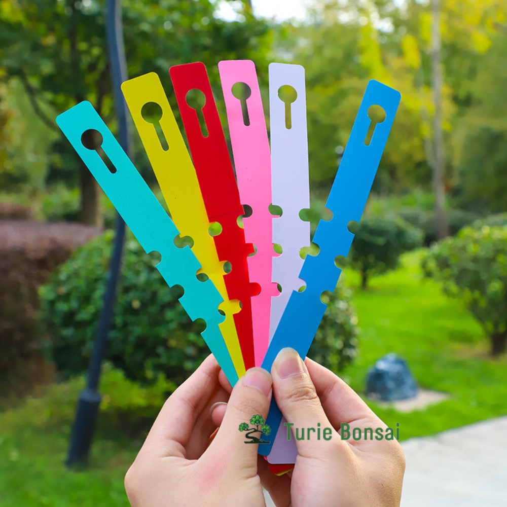 Thẻ Ghi Tên nhựa PVC Chống Nước Treo Cây Trồng màu giao ngẫu nhiên