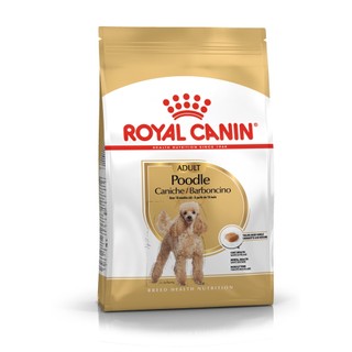 Thức ăn cho chó Royal Canin Poodle chó trưởng thành 500g