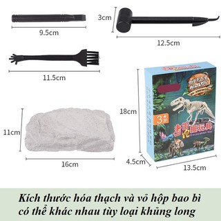 Hóa thạch khủng long, đồ chơi khảo cổ cho bé