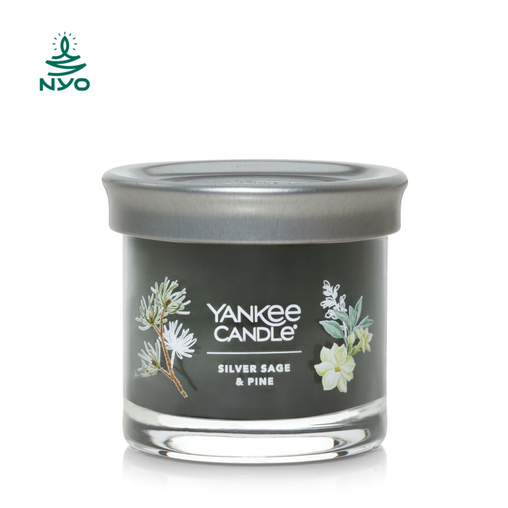 Nến thơm hương Thông Xô Thơm – Silver Sage & Pine – Yankee Candle