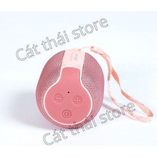 Loa BLUETOOTH mini WS-305 nhỏ gọn
