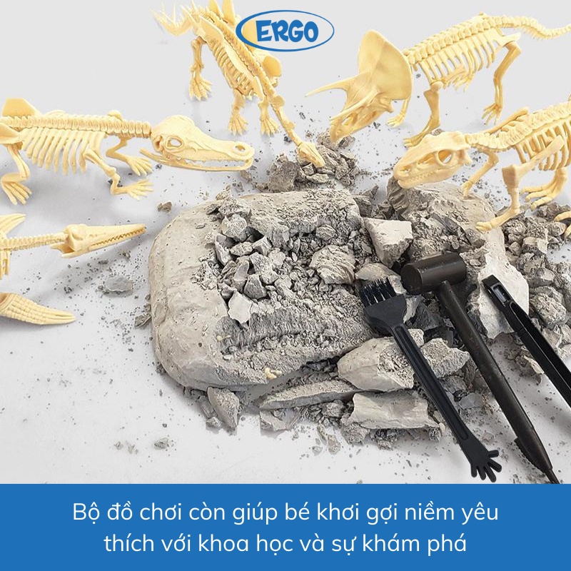 Đồ Chơi Đào Hoá Thạch Khủng Long, Bộ Khảo Cổ Đào Xương Khủng Long, Đồ Chơi Cho Bé Rèn Luyện Kiên Nh