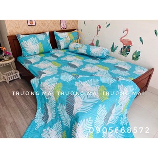 Chăn ga gối 100% coton kèm chăn chần gòn cao cấp
