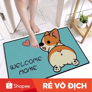 [RẺ VÔ ĐỊCH] THẢM LAU CHÂN 3D