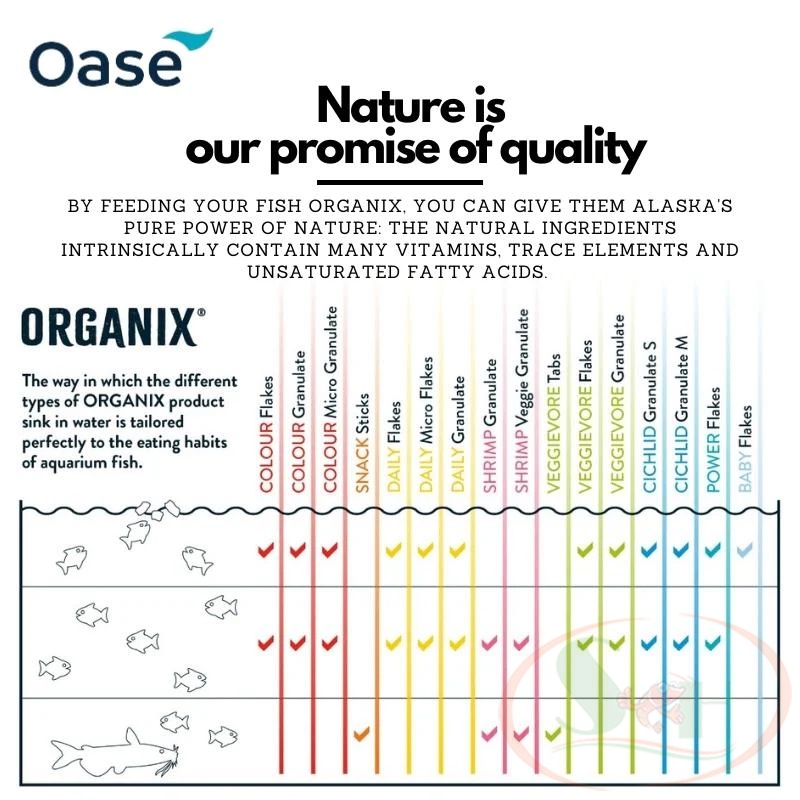 Thức ăn cá OASE Organix Colour Granulate tăng màu cá tép cảnh