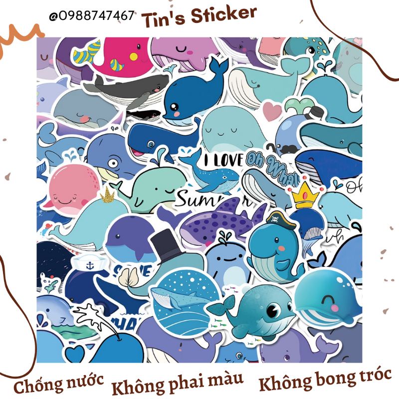 Set combo 50 miếng dán sticker Cá Voi dễ thương dán nón mũ bảo hiểm laptop vali sổ sách đàn guitar tủ lạnh