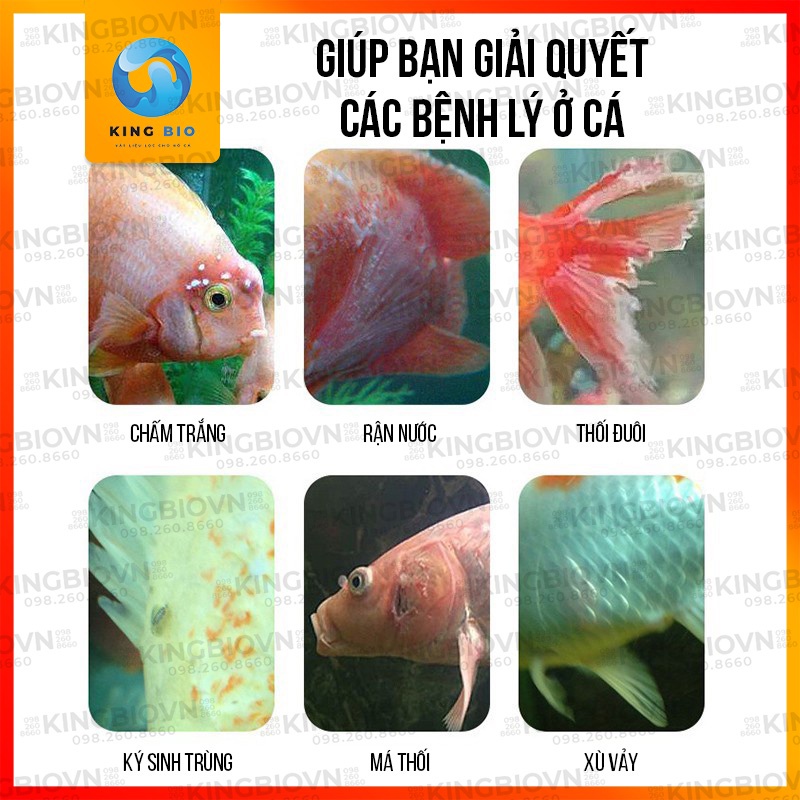 Thuốc Yee White Bot điều trị nấm trắng, thối vây, thối đuôi, xù vẩy và các vấn đề ngoài da cho cá