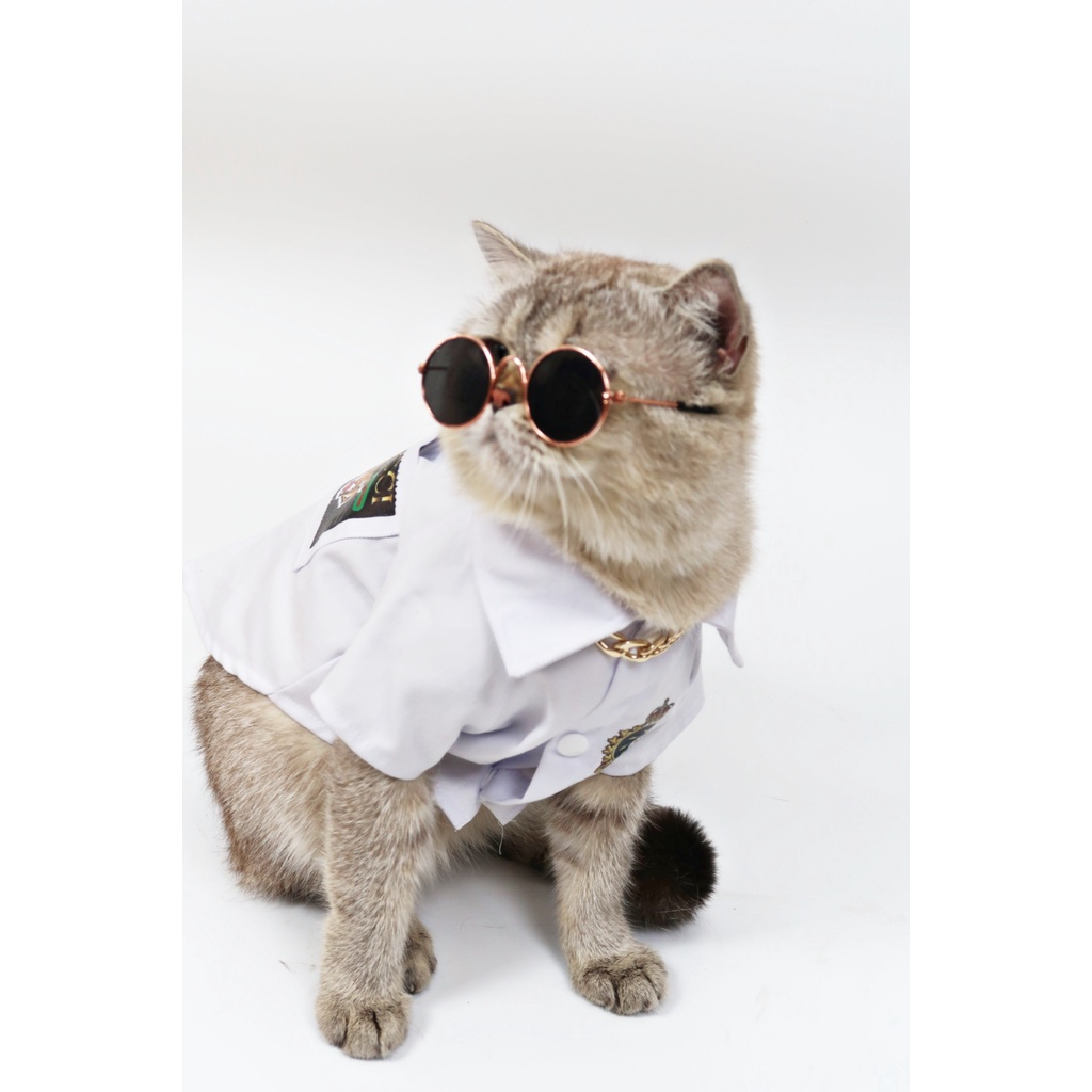 Quần áo chó mèo Sơ mi phi công cực ngầu mẫu mã logo đa dạng dành cho thú cưng