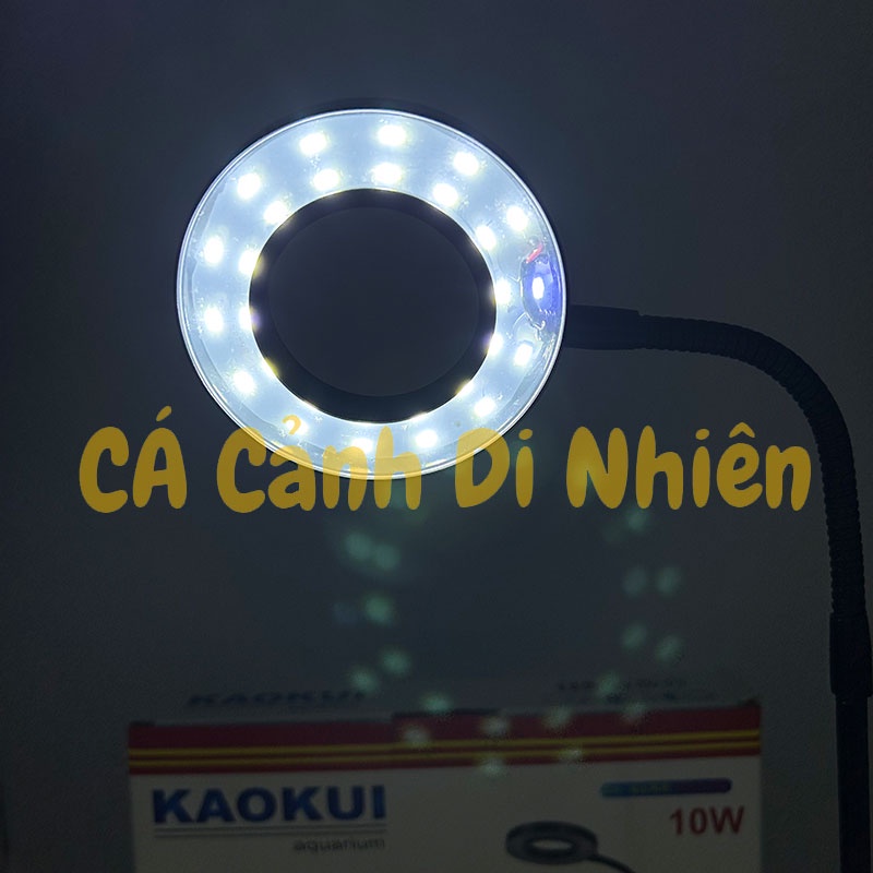 Đèn led đế gỗ 10W dùng cho bể cá hình tròn dưới 27 cm Terrarium
