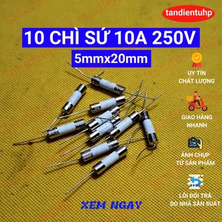 10 CHIẾC CẦU CHÌ SỨ CHÂN CẮM KÍCH THƯỚC 5mm x 20mm 10A 250V