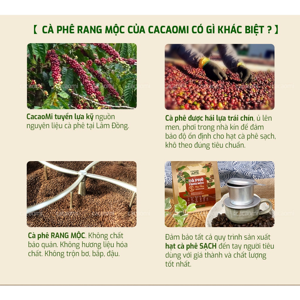 Cà phê nguyên chất rang mộc Blend Robusta và Arabica đậm đà thơm cafe pha phin ngon Cacao Mi 15g-250g