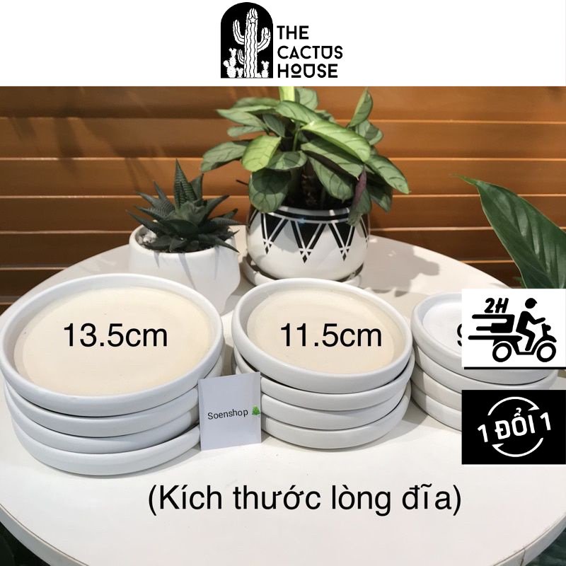 Đĩa sứ lót chậu cây sen đá xương rồng, cây phong thủy - Đế lót chậu cây - Màu trắng