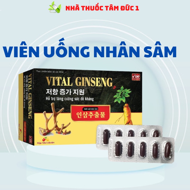 Ăn ngon vital ginseng giúp bồi bổ tăng sức đề kháng giảm mệt mỏi cơ thể suy nhược kém ăn người già yếu cần tăng cân