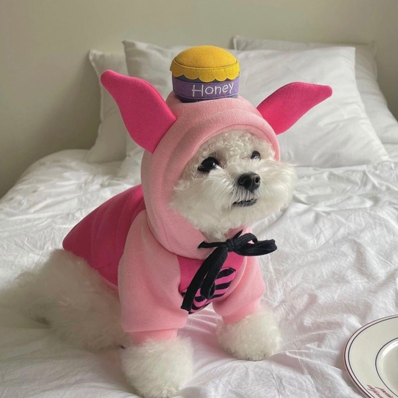 Áo Thun In Hình Chó Corgi Xinh Xắn Cho Thú Cưng