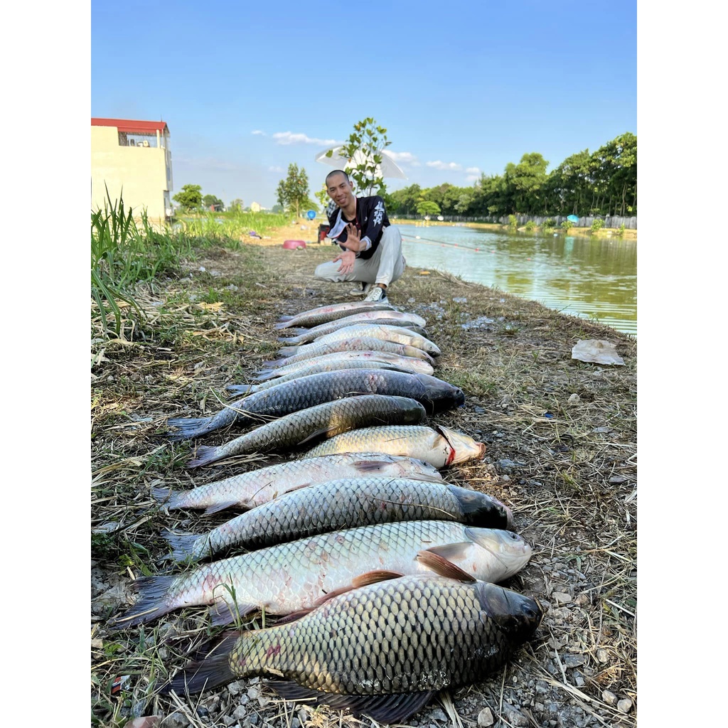 Hương liệu câu cá B52 Bá Vương - Buns Fishing