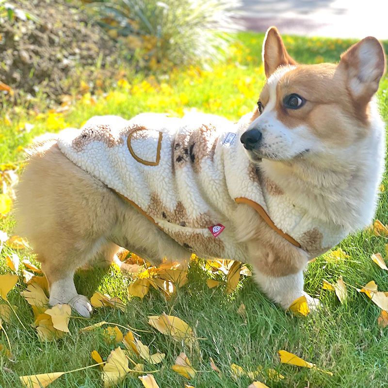 Áo Khoác Giữ Ấm Dày Dặn Phong Cách Phương Tây Cho Thú Cưng