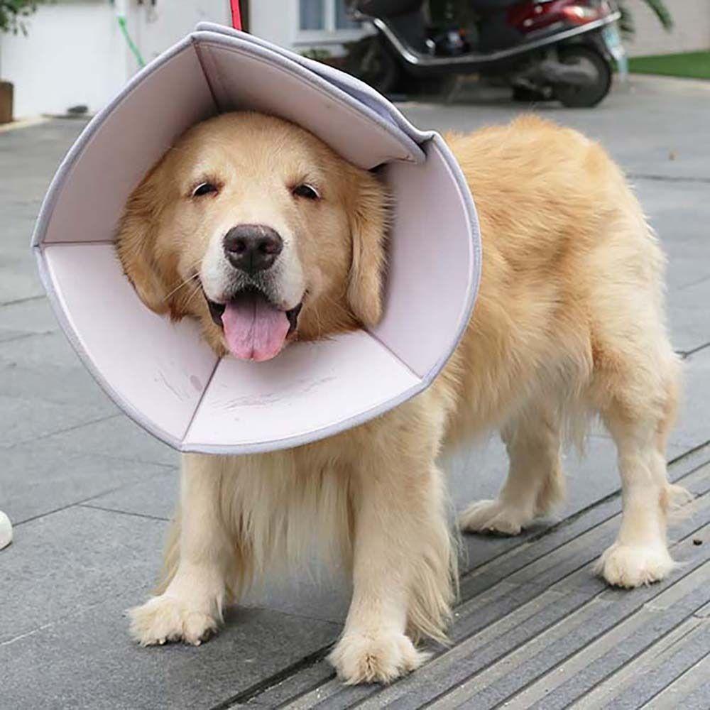 [COD] Vòng Cổ Elizabethan Bảo Vệ Vết Thương Chống Cắn Có Thể Điều Chỉnh Dành Cho Thú Cưng
