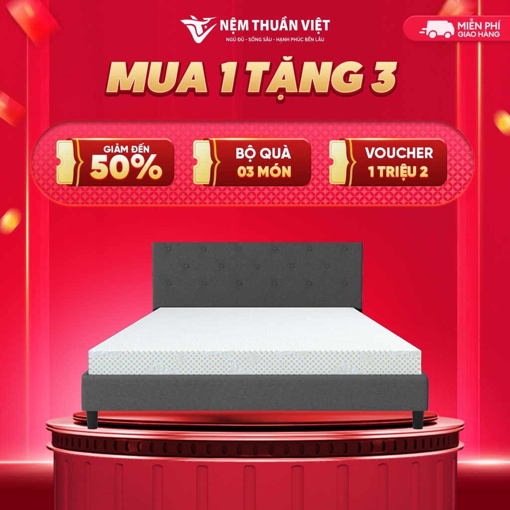 (1m6x2mx10cm) Nệm Foam Cao Cấp Thuần Việt Platinum Công Nghệ Hoa Kỳ, Kháng Khuẩn Tối Ưu