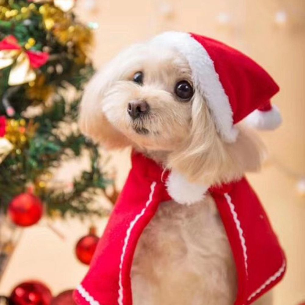 Hipidog Áo choàng kèm nón phong cách Giáng sinh cho thú cưng