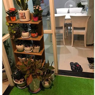 Kệ gỗ 5 tầng mới nhất