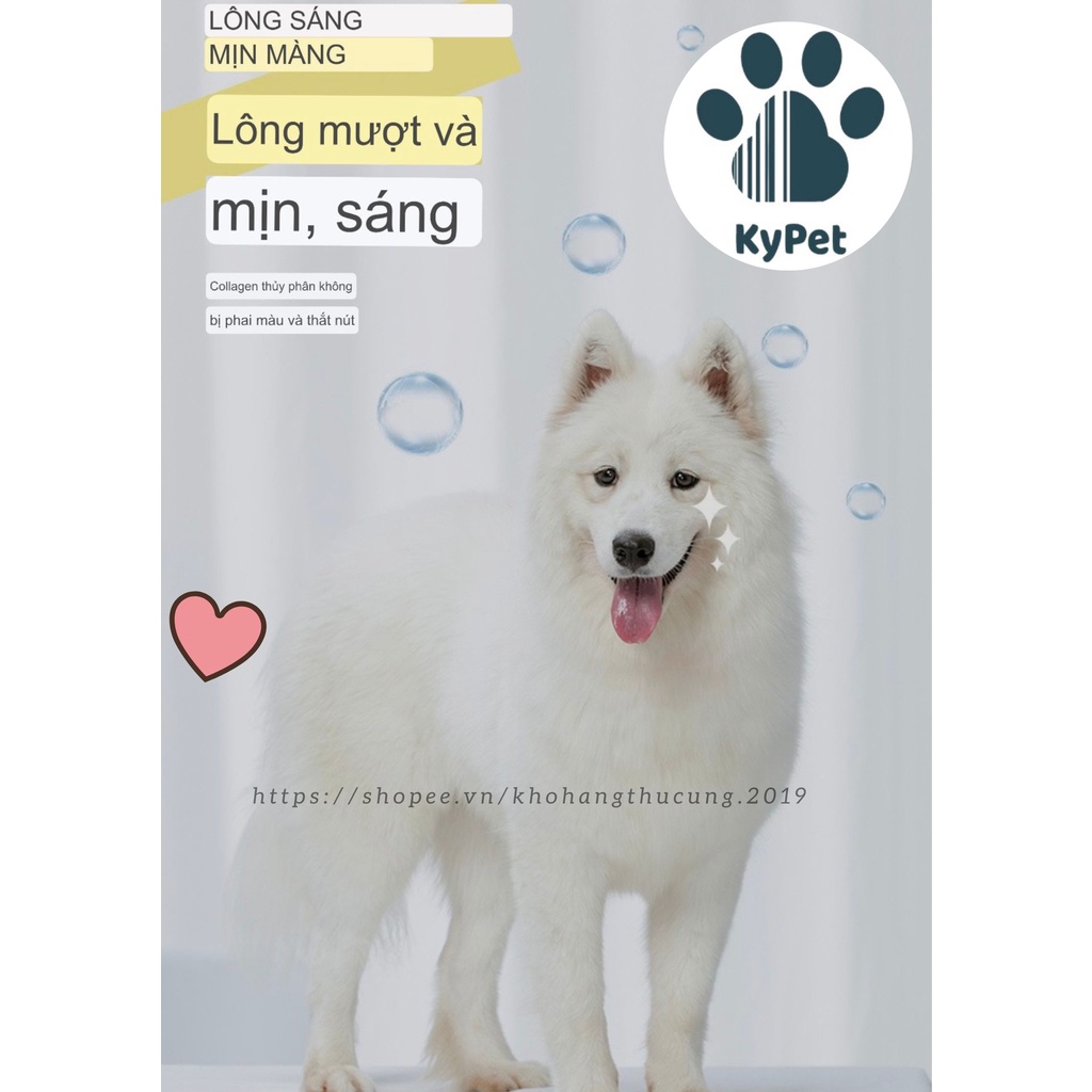 Sữa tắm Amino dành cho chó mèo- dưỡng lông lưu hương 500ml tặng kèm vòi bơm- kypet