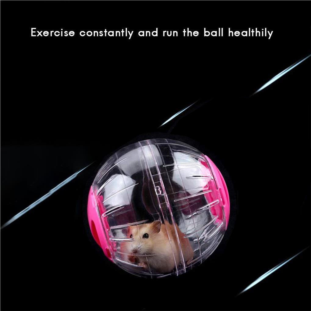 Cửa Hàng Đồ Chơi Bóng Chạy Bộ Bằng Nhựa Trong Suốt Trọng Lượng Nhẹ Tiện Lợi Dành Cho Thú Cưng