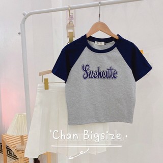 Áo thun croptop raglan bigsize 60-80kg