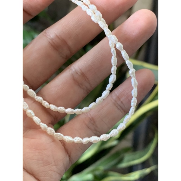 Vòng cổ trai gạo