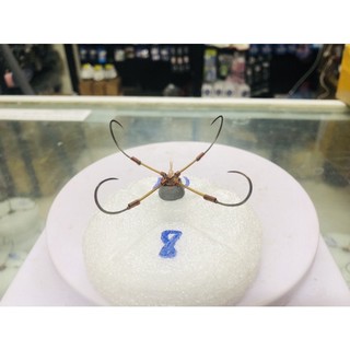 Lưỡi câu lục Tứ 8 dáng Xoài Chuyên gia câu lục - Lưỡi câu lục thửa số 8