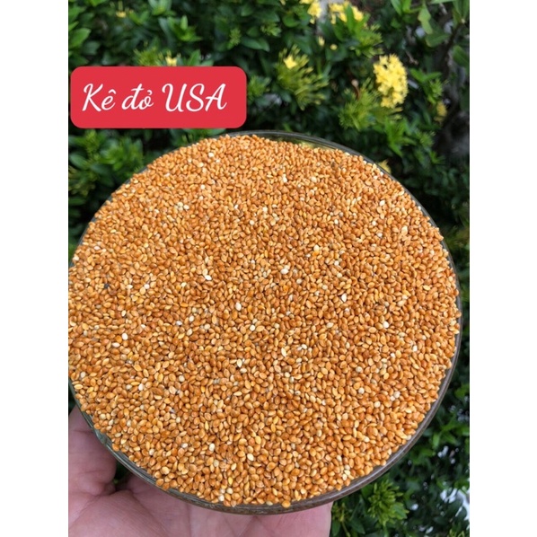 Kê đỏ bóng hạt to hàng nhập cho chim 1kg