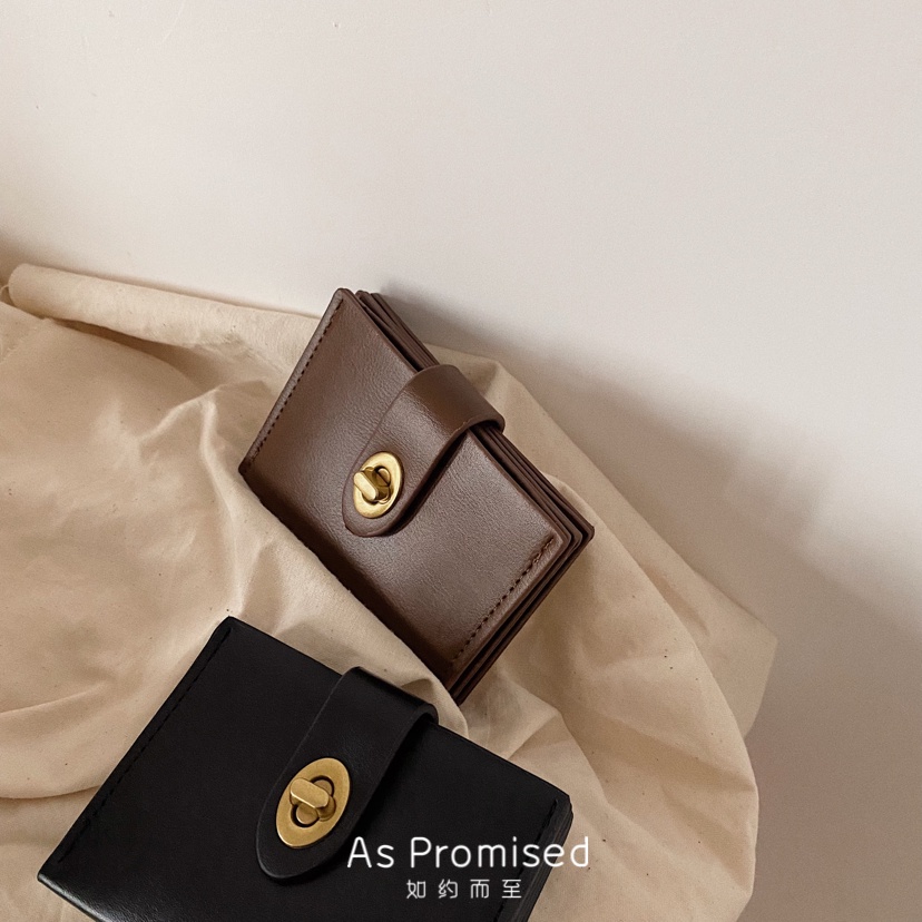 Ví nữ đựng thẻ ví card cầm tay Louis vintage 27C