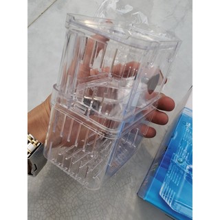 Lồng tách dưỡng cá cảnh Acrylic