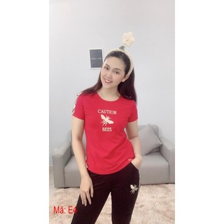 Đồ bộ quần dài-áo cộc cotton mặc nhà cao cấp