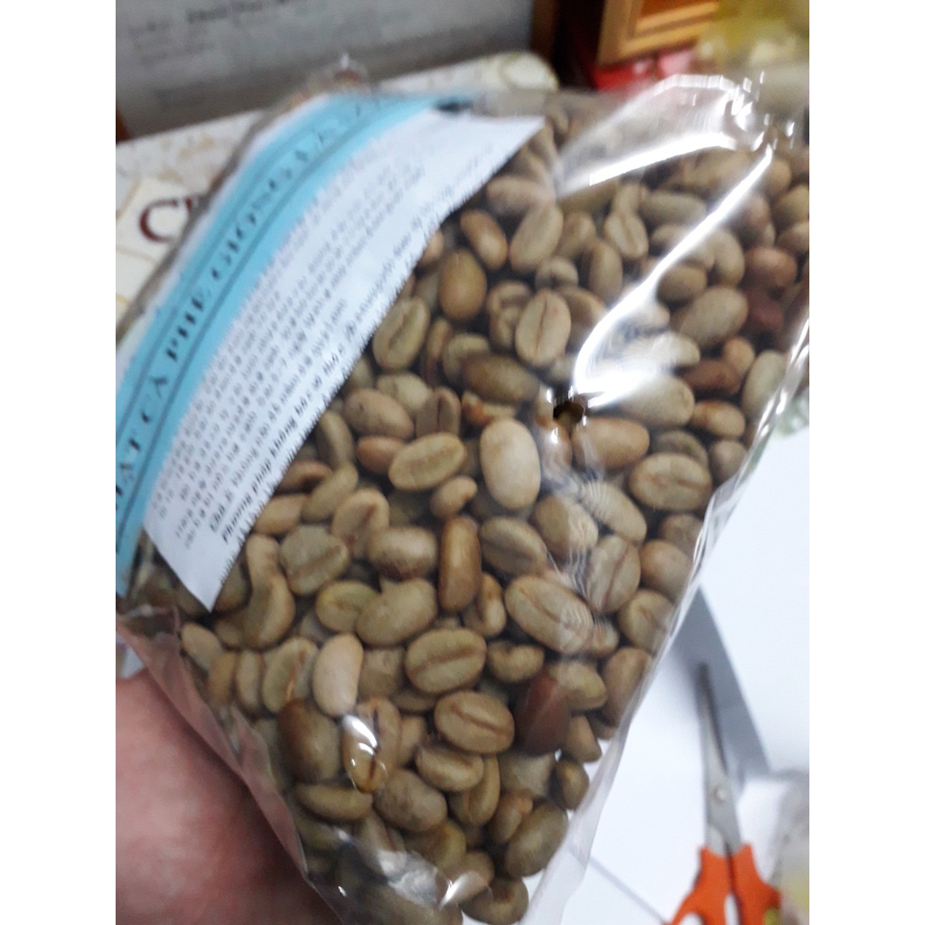 1 KG Hạt giống Cà Phê VỐI CAO SẢN Lá Xoài  - HẠT TUYỂN CHỌN TỪ CÂY MẸ. KÈM HƯỚNG DẪN ƯƠM]