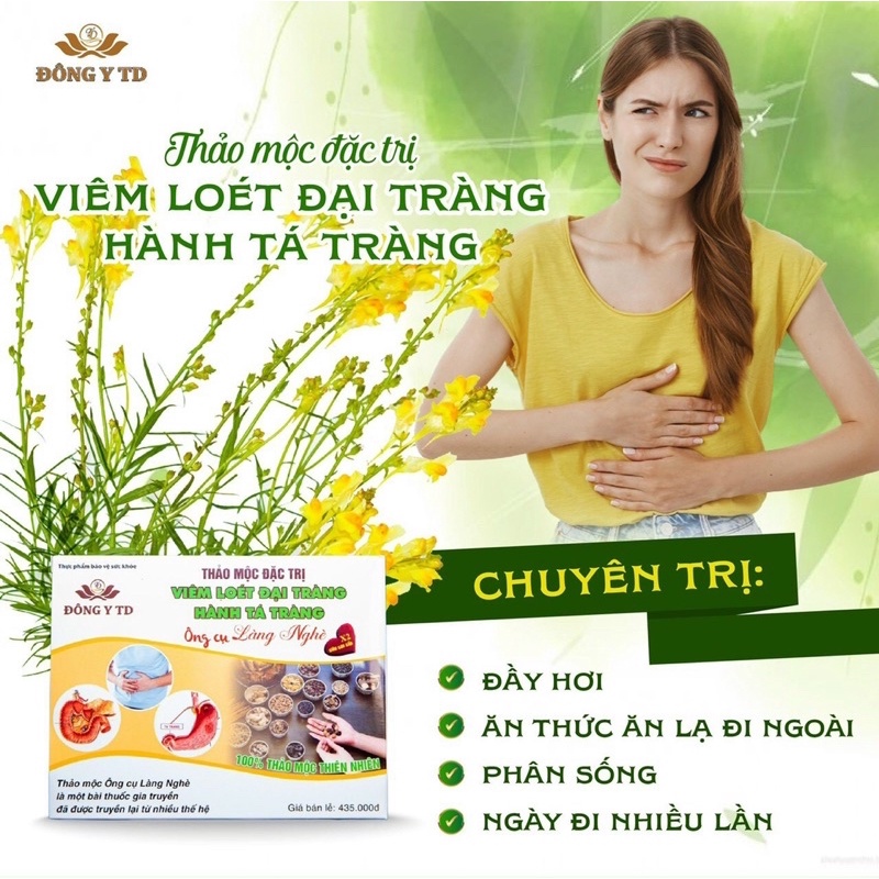 đại tràng ông cụ làng nghè