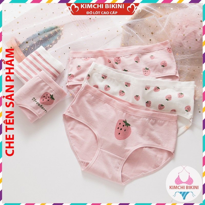 quần chíp chống viêm nhiều màu sắc mẫu mã đa dạng KIMCHIBIKINI Quần lót nữ .vải dầy thấm hút mồ hôi tốt QL028