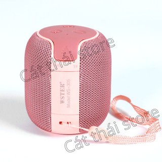 Loa BLUETOOTH mini WS-305 nhỏ gọn