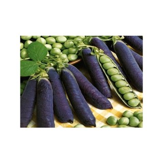 5h Hạt Giống Đậu Hà Lan Tím