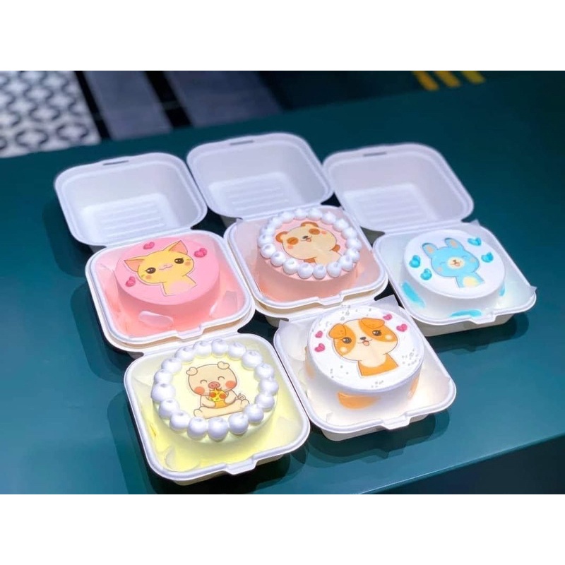 set 50 hộp bã mía vuông