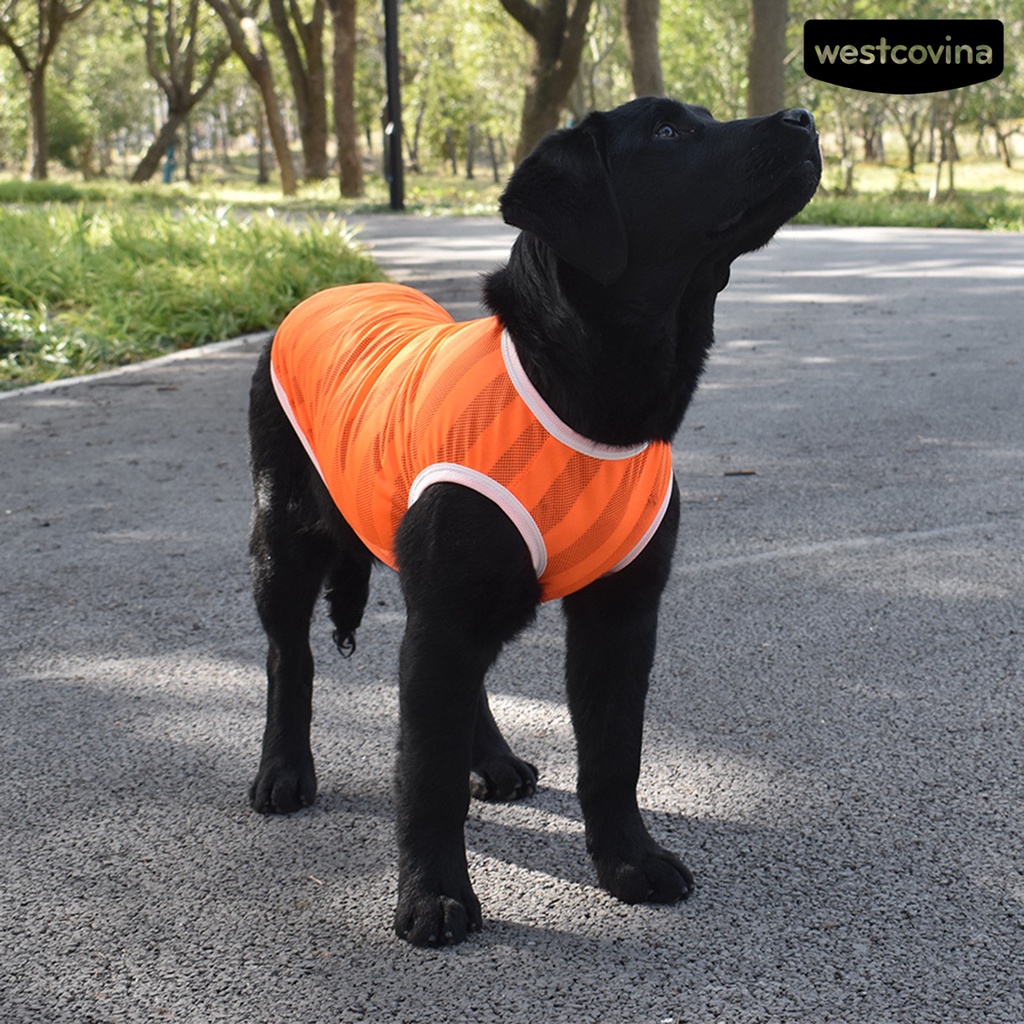 [COD]♘Áo Thun Thể Thao Dạng Lưới Thoáng Khí Cổ Tròn Dành Cho Cún Cưng