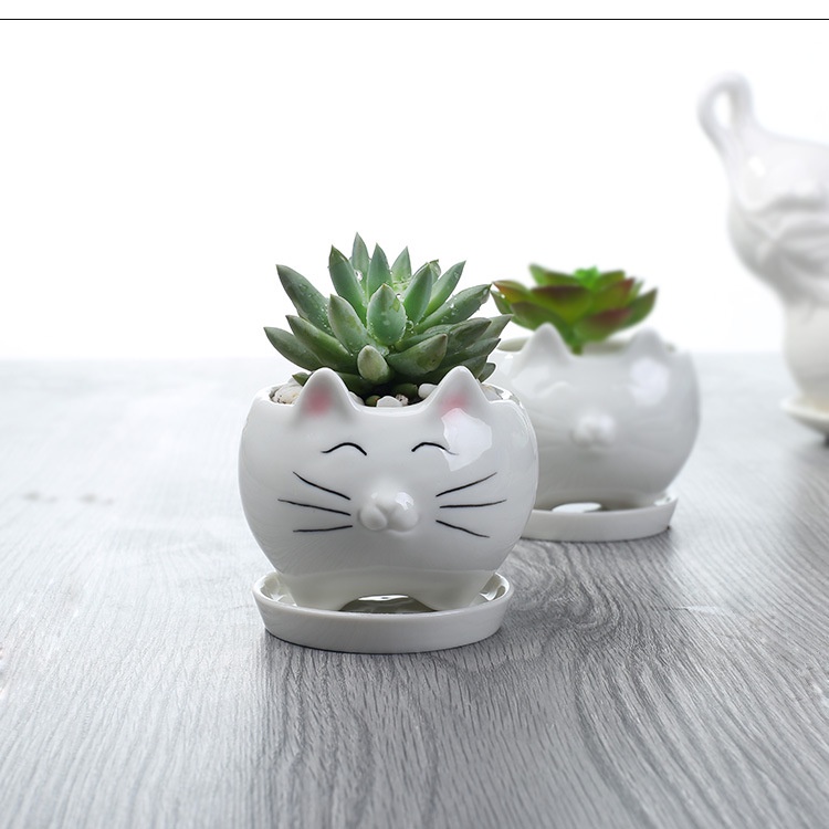 Chậu Trồng Sen Đá, Xương Rồng Cây Mini Có Đế Lỗ Thoát Nước Trang Trí Để Bàn Văn Phòng