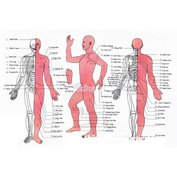 Máy Massage Xung Điện Trị Liệu 8 Miếng Dán và 4 miếng
