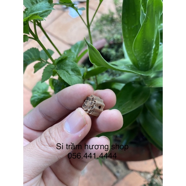 Charm hoa sen trầm hương tốc