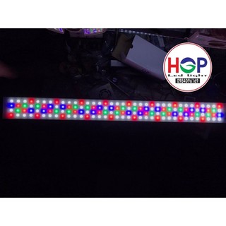Đèn WRGB thuỷ sinh/ led Luxeon Epistar