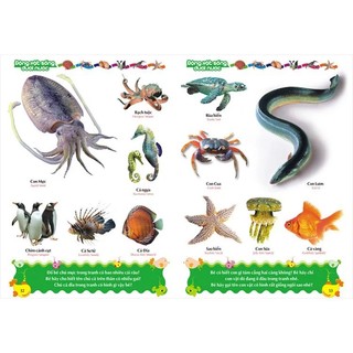 Sách: Từ Điển Tranh Về Các Con Vật (Bìa mềm)